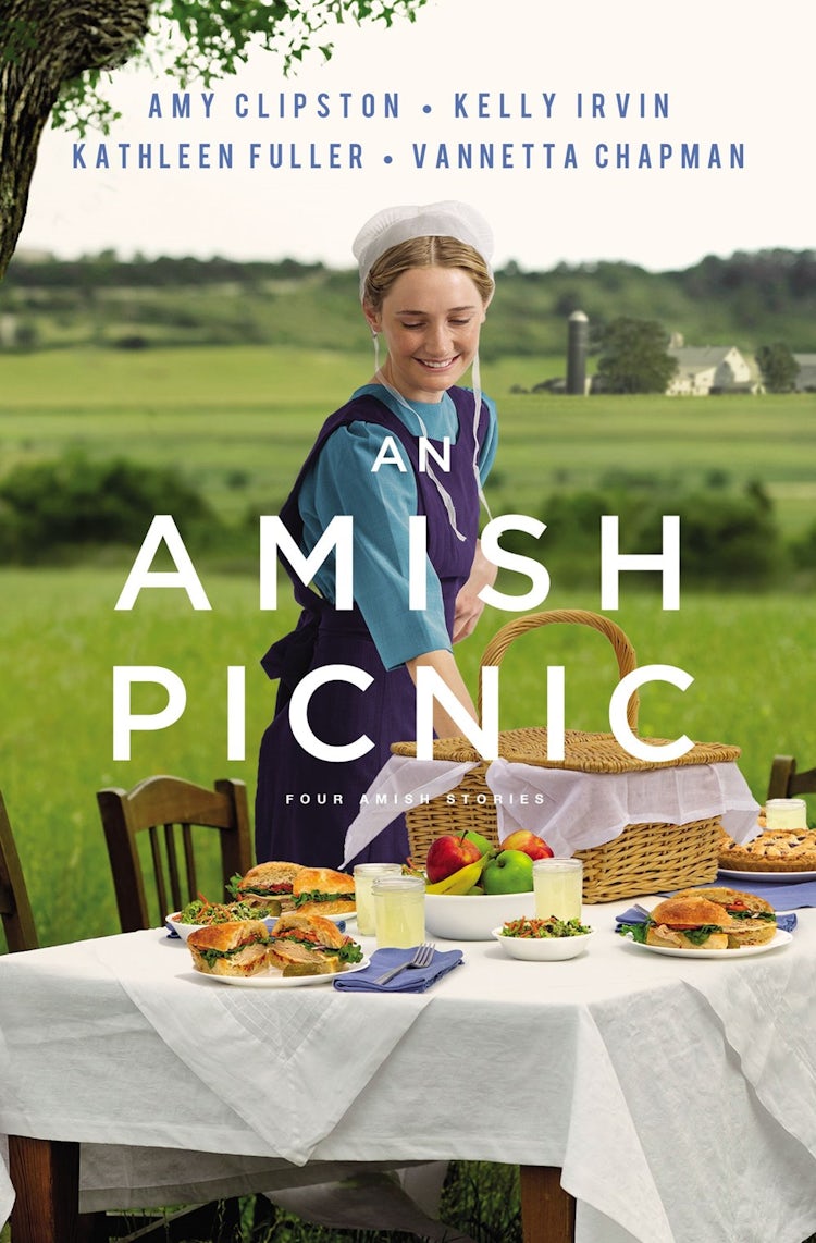 Cover image for An Amish Picnic: Four Stories, isbn: 9780310357889