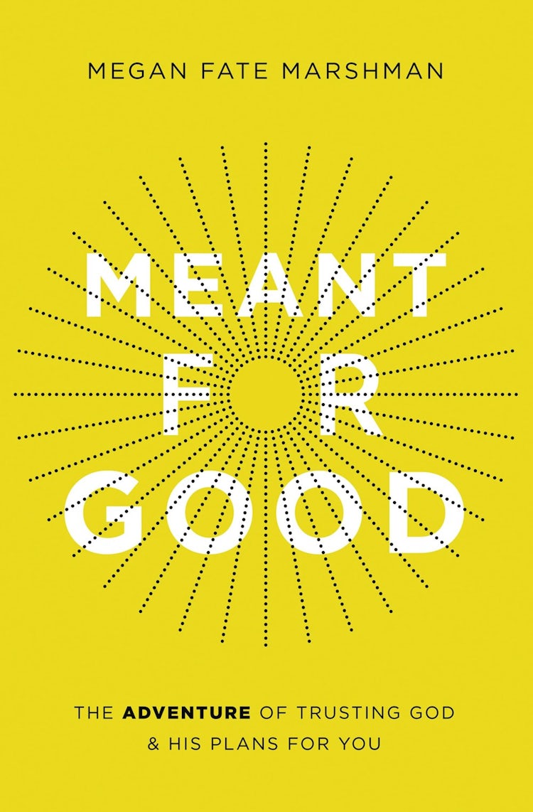 Cover image for Meant For Good: The Adventure Of Trusting God And His Plans For You, isbn: 9780310358244