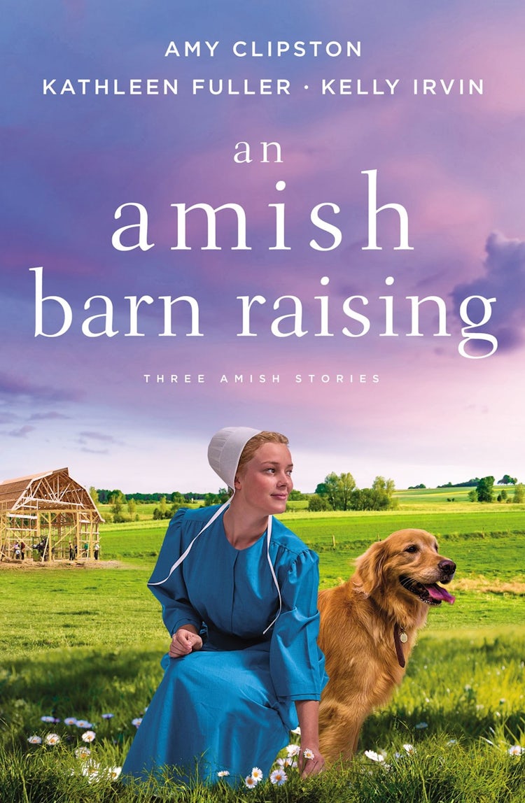 Cover image for An Amish Barn Raising: Three Stories, isbn: 9780310362401