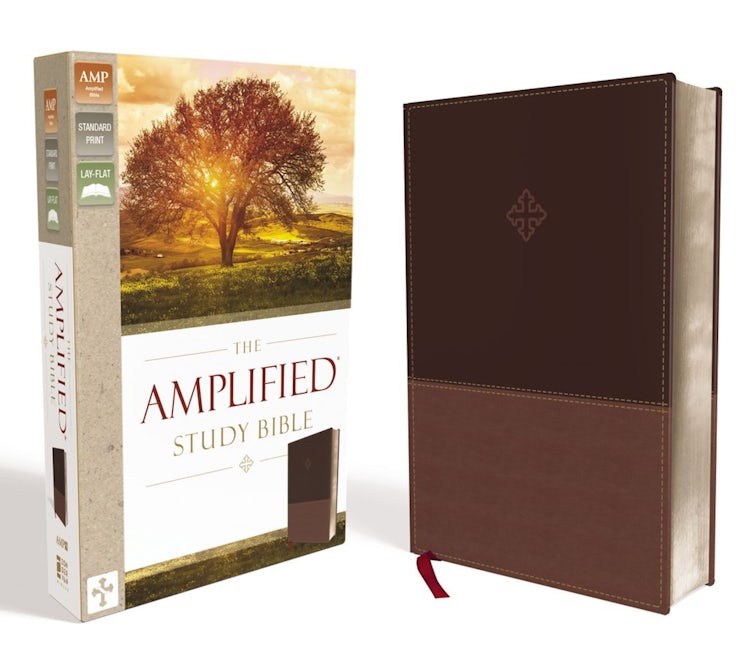 Cover image for Amplified Study Bible [Brown], isbn: 9780310440802