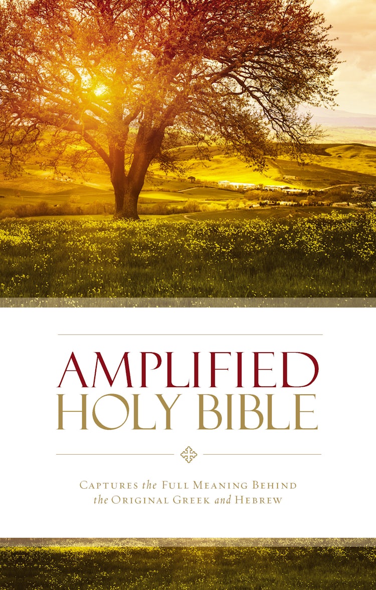 Cover image for Amplified Holy Bible: Captures the Full Meaning Behind the Original Greek and Hebrew, isbn: 9780310443902