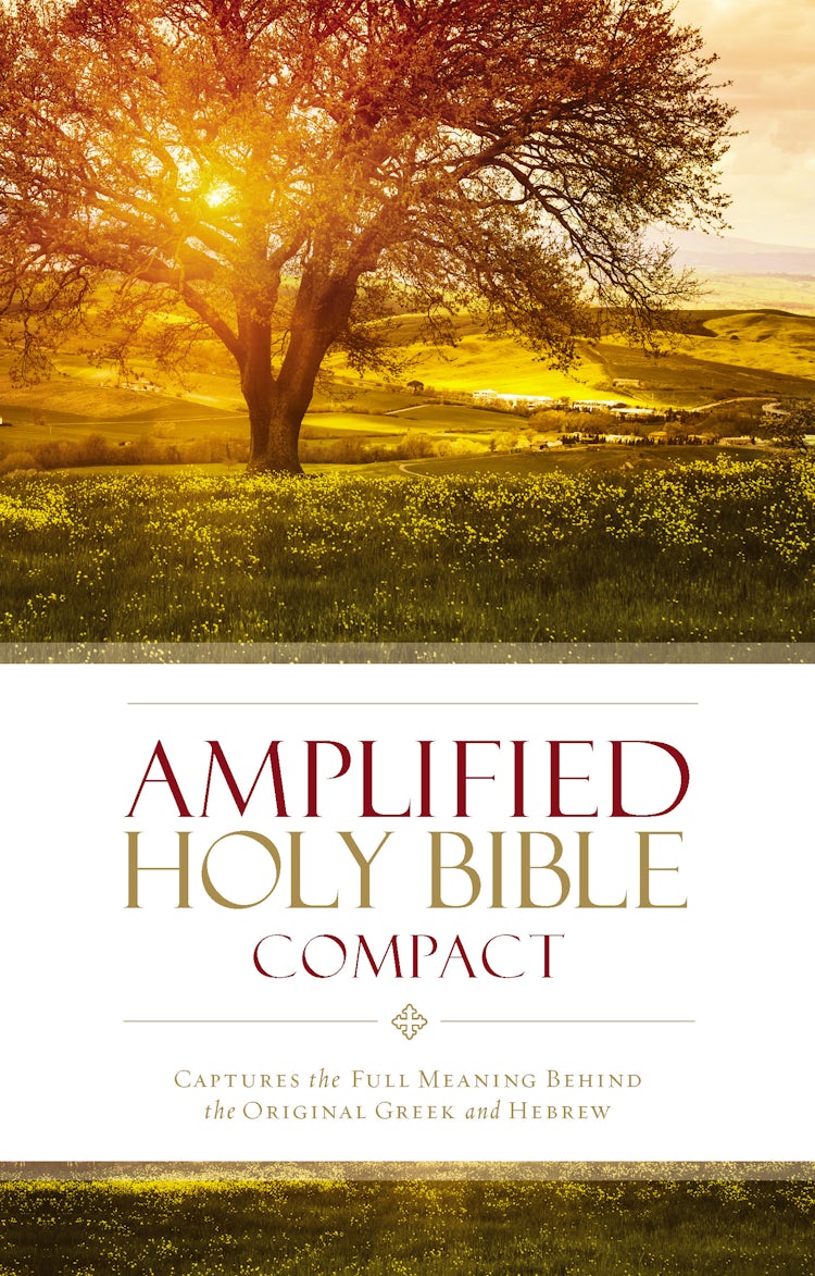 Cover image for Amplified Holy Bible, Compact: Captures the Full Meaning Behind the Original Greek and Hebrew, isbn: 9780310443995