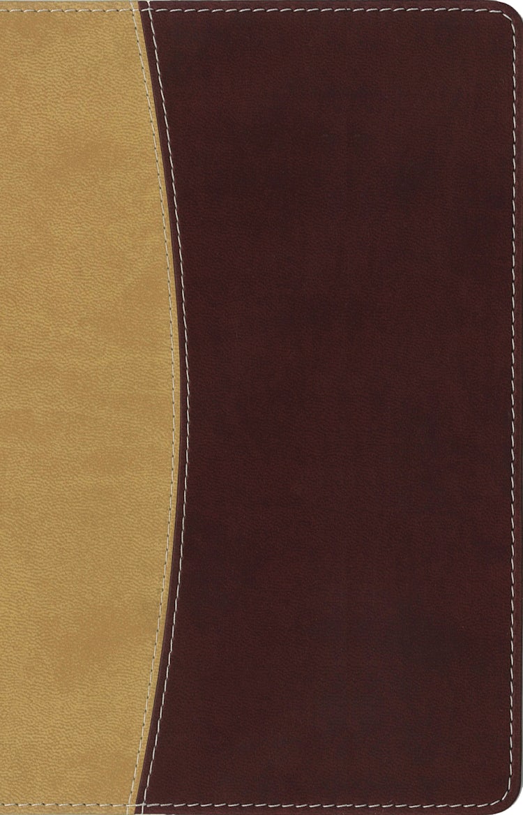 Cover image for Amplified Holy Bible, Compact: Captures the Full Meaning Behind the Original Greek and Hebrew [Camel/Burgundy], isbn: 9780310444008