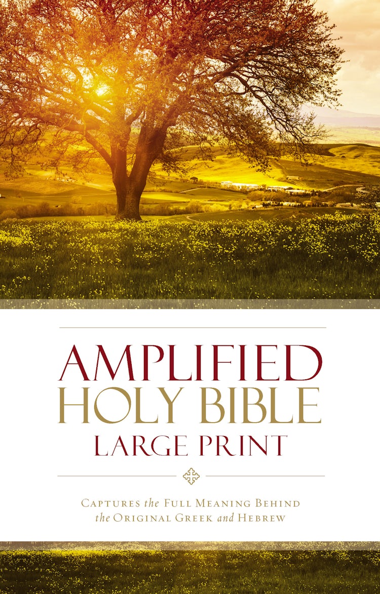 Cover image for Amplified Holy Bible, Large Print: Captures the Full Meaning Behind the Original Greek and Hebrew, isbn: 9780310444039