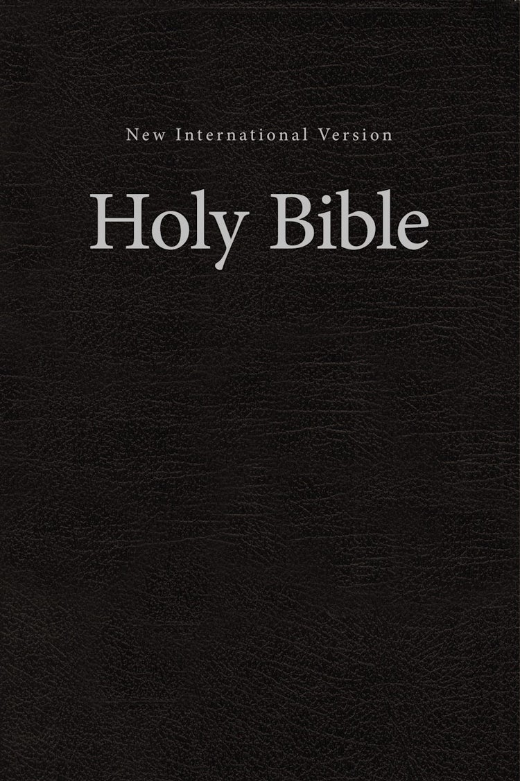 Cover image for NIV, Value Pew And Worship Bible [Brown], isbn: 9780310446248