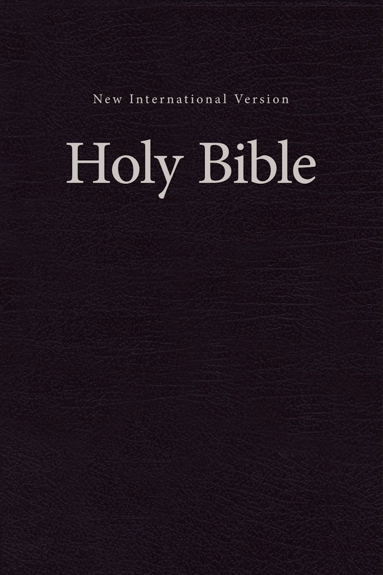 Cover image for NIV, Pew And Worship Bible [Black], isbn: 9780310446262