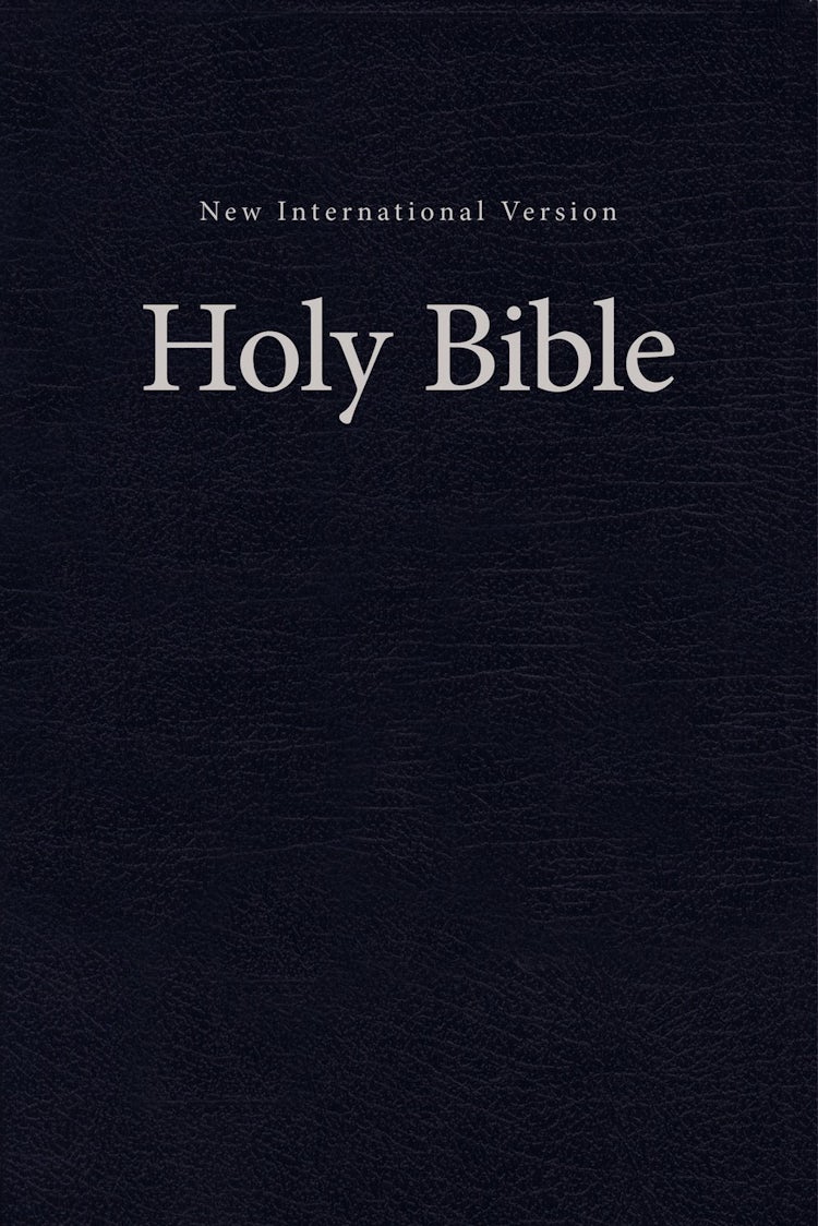 Cover image for NIV, Pew And Worship Bible [Blue], isbn: 9780310446279