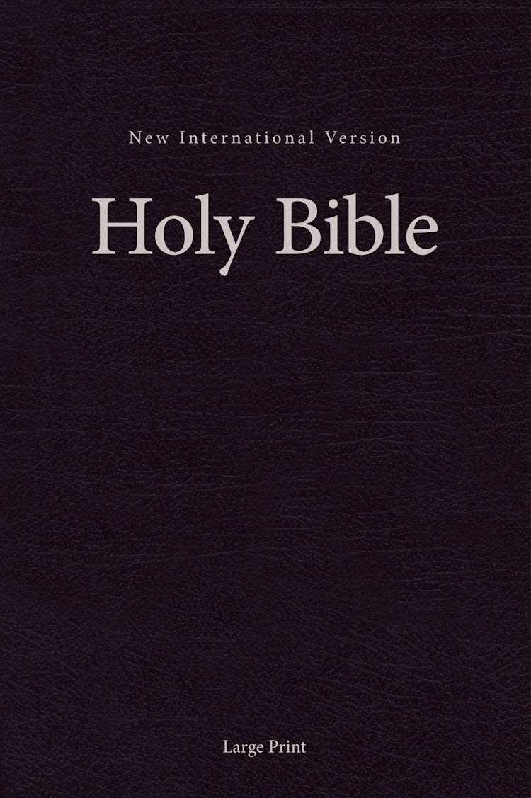 Cover image for NIV, Pew And Worship Bible, Large Print [Black], isbn: 9780310446309