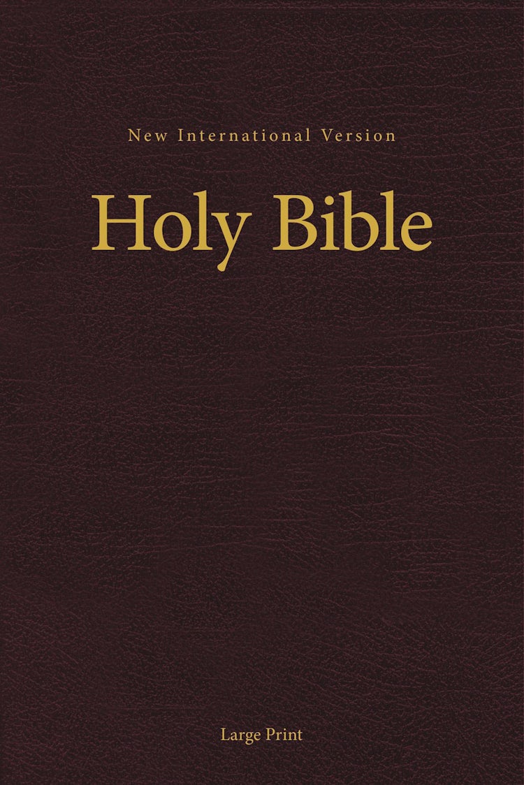 Cover image for NIV, Pew And Worship Bible, Large Print [Burgundy], isbn: 9780310446330