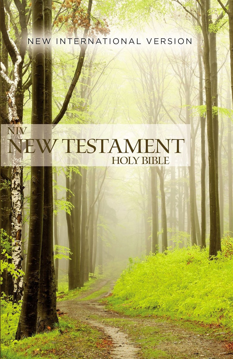 Cover image for NIV Outreach New Testament [Green], isbn: 9780310446392