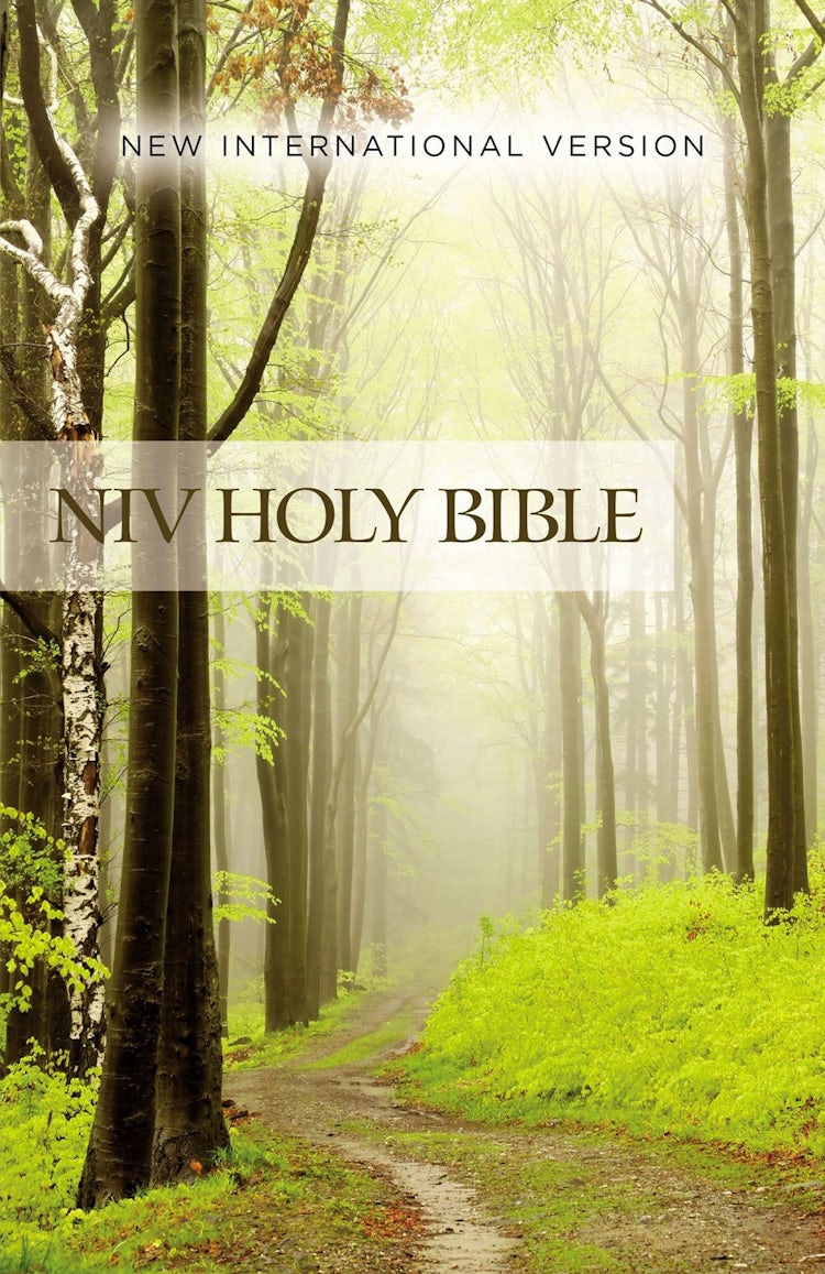 Cover image for NIV Value Outreach Bible [Green Forest], isbn: 9780310446484