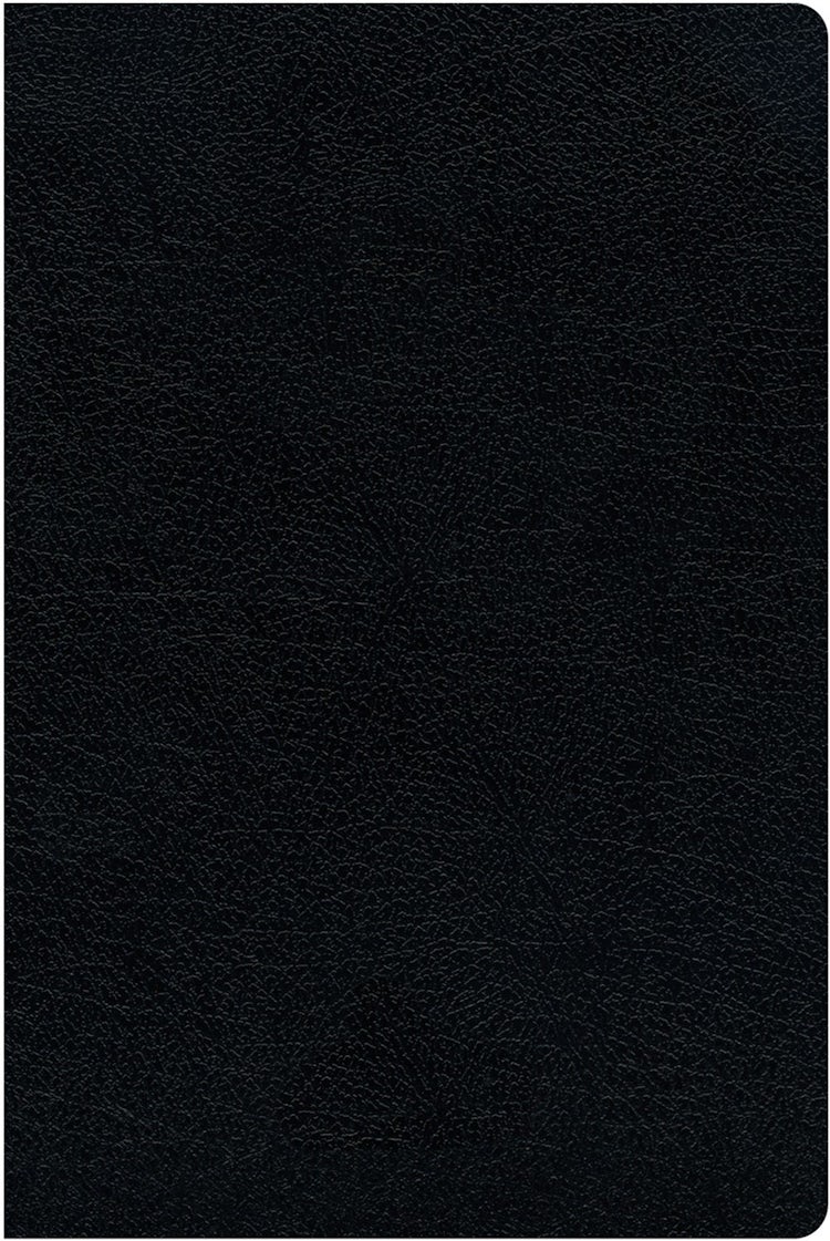 Cover image for KJV Amplified Parallel Bible Red Letter Edition [Large Print, Black], isbn: 9780310446699