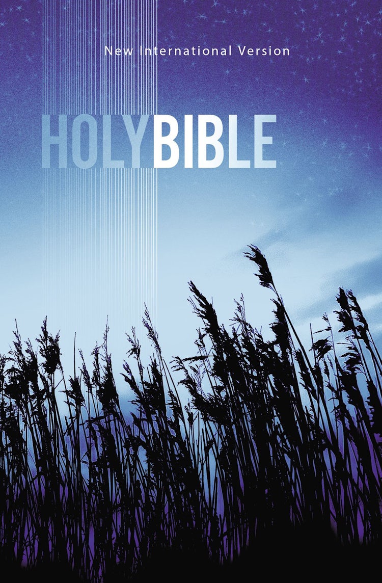 Cover image for NIV Value Outreach Bible, isbn: 9780310446828