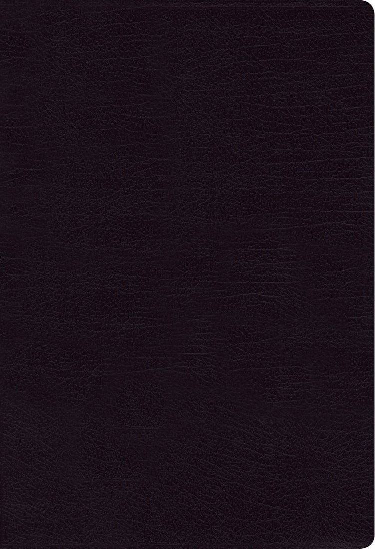 Cover image for NIV Thinline Bible Indexed Red Letter Edition [Large Print, Black], isbn: 9780310448334