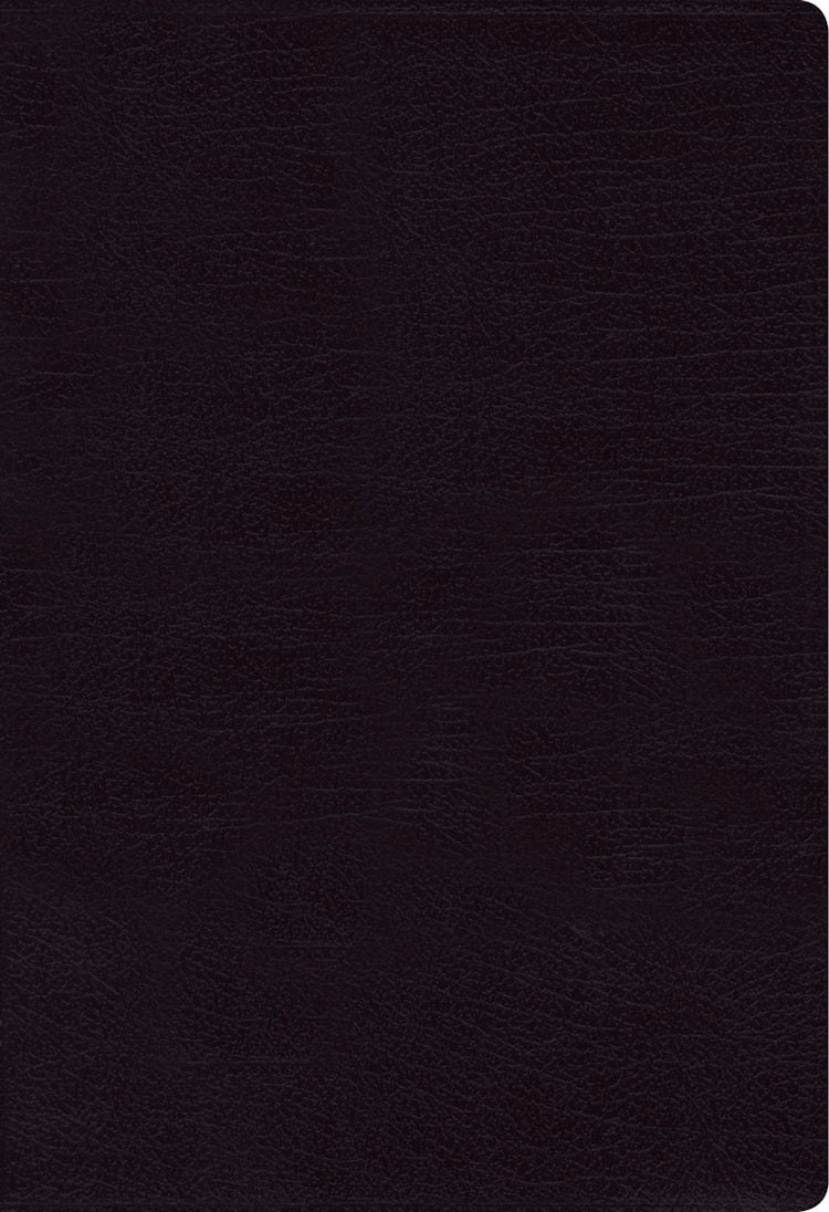 Cover image for NIV Thinline Bible Red Letter Edition [Giant Print, Black], isbn: 9780310448594