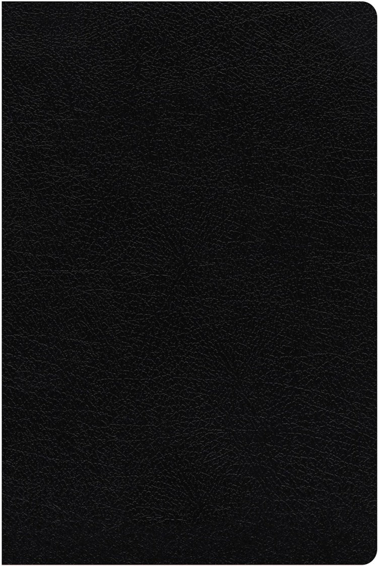 Cover image for NIV Study Bible, Fully Revised Edition, Bonded Leather, Black, Red Letter, Thumb Indexed, Comfort Print, isbn: 9780310448983