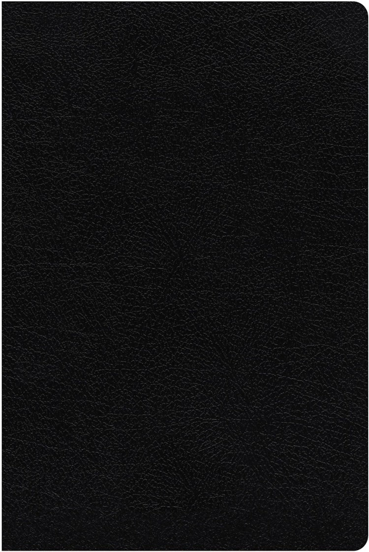 Cover image for NIV Study Bible, Fully Revised Edition, Large Print, Bonded Leather, Red Letter, Thumb Indexed, Comfort Print [Black], isbn: 9780310449171