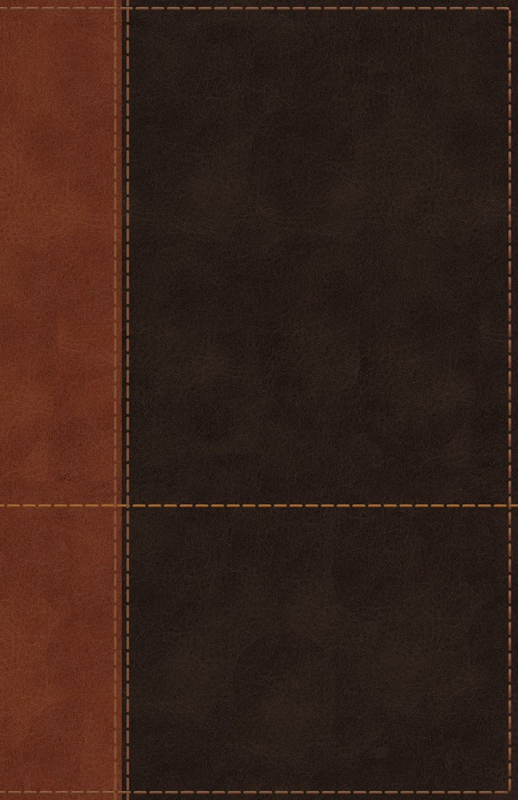 Cover image for NIV Personal Size Reference Bible Indexed Red Letter Edition [Large Print, Brown], isbn: 9780310449737