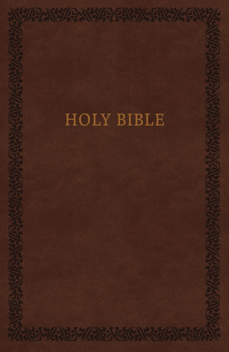 Cover image for NIV Holy Bible Soft Touch Edition [Brown], isbn: 9780310450467