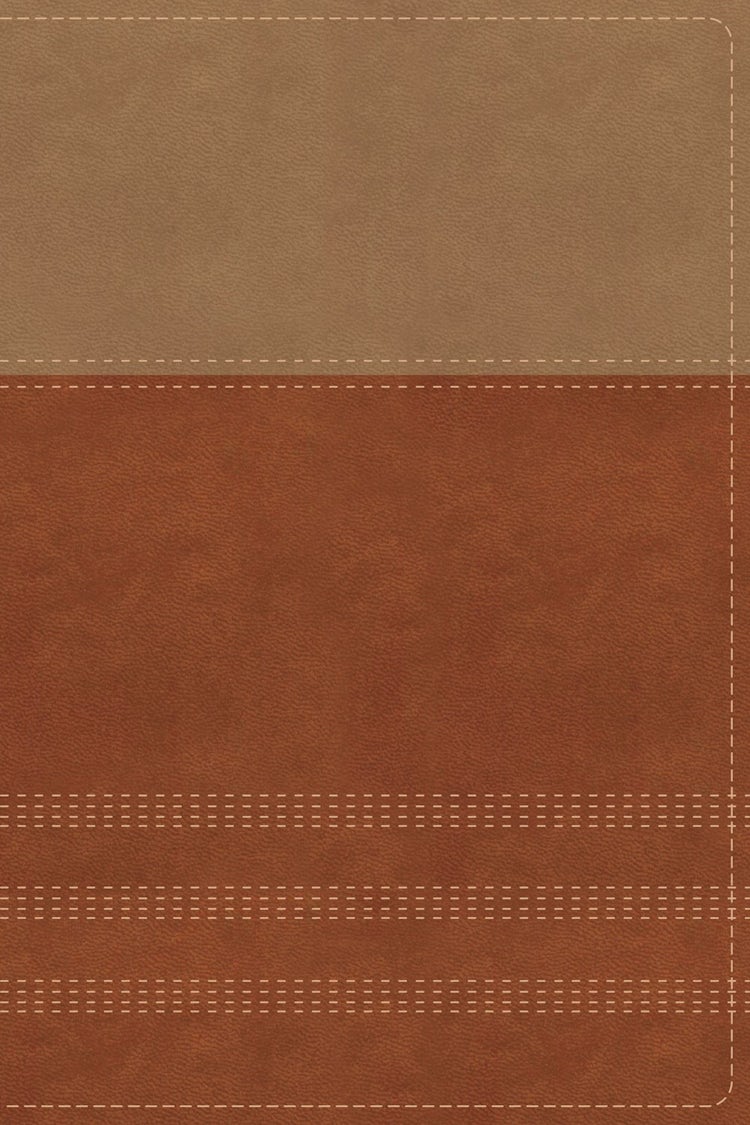Cover image for NIV Biblical Theology Study Bible [Tan/Brown], isbn: 9780310450504