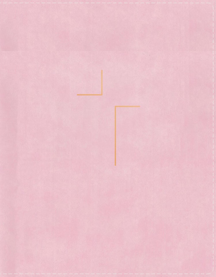 Cover image for The Jesus Bible Indexed NIV Edition [Pink], isbn: 9780310452300