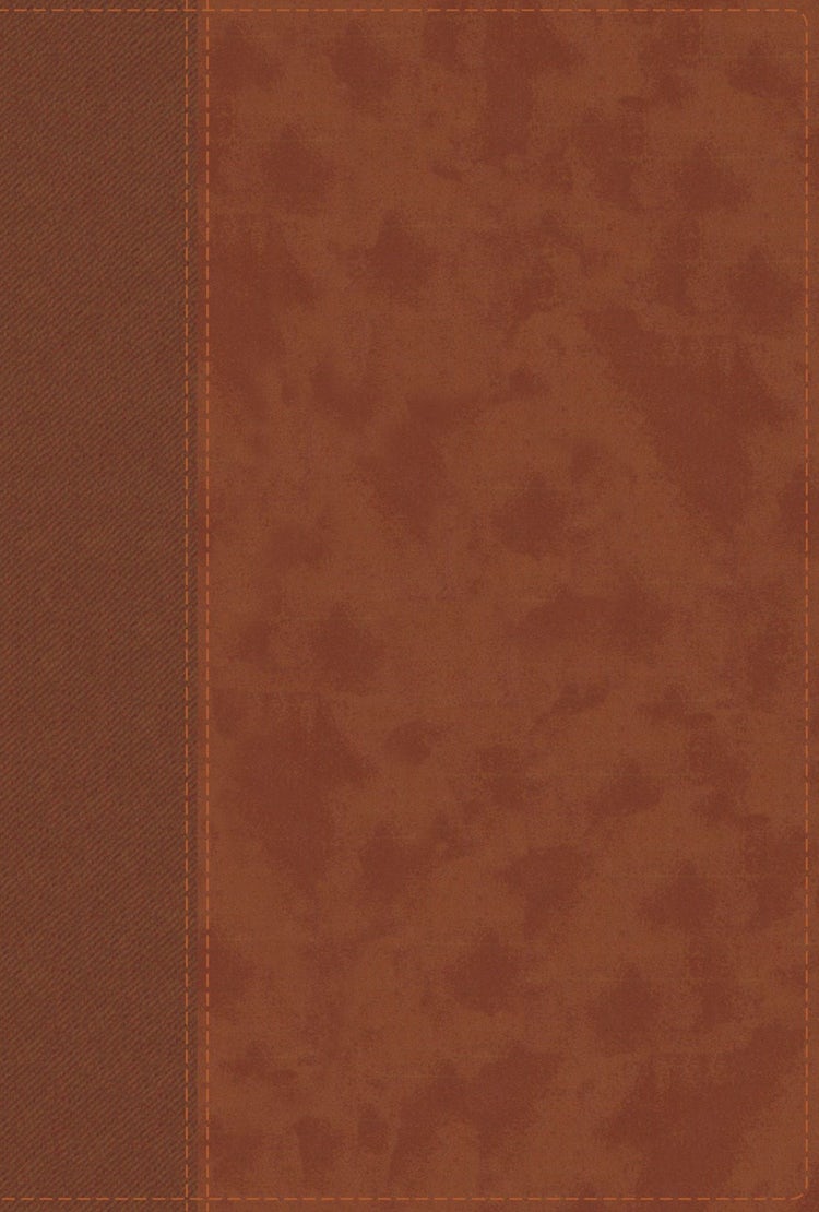 Cover image for NIV Personal Size Bible Red Letter Edition [Large Print, Brown], isbn: 9780310454274
