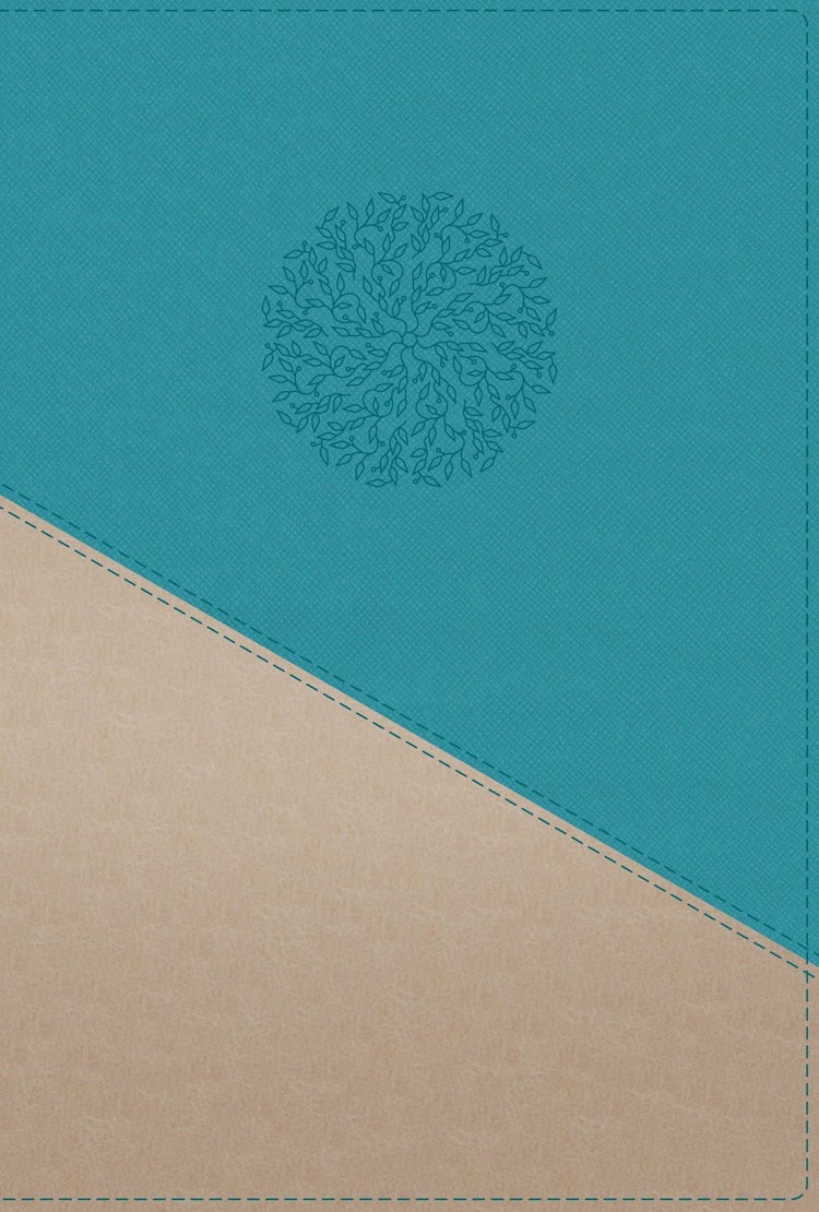 Cover image for NIV Personal Size Bible Red Letter Edition [Large Print, Teal/Gold], isbn: 9780310454281