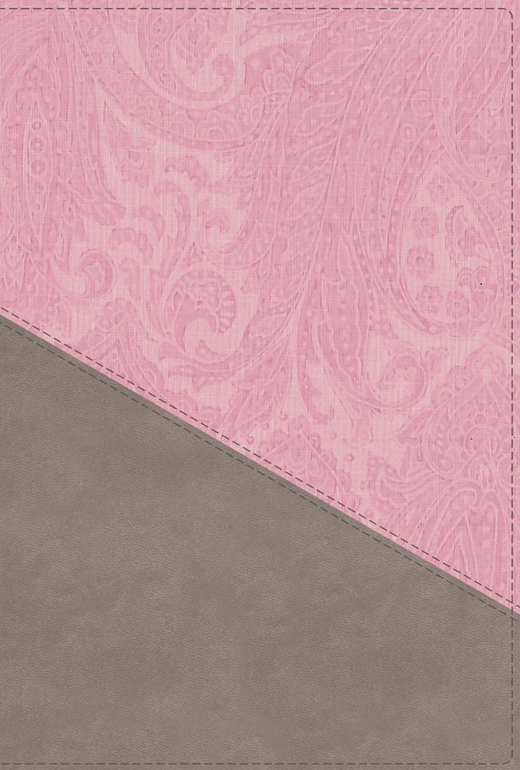 Cover image for NIV Personal Size Bible Red Letter Edition [Large Print, Pink/Grey], isbn: 9780310454298