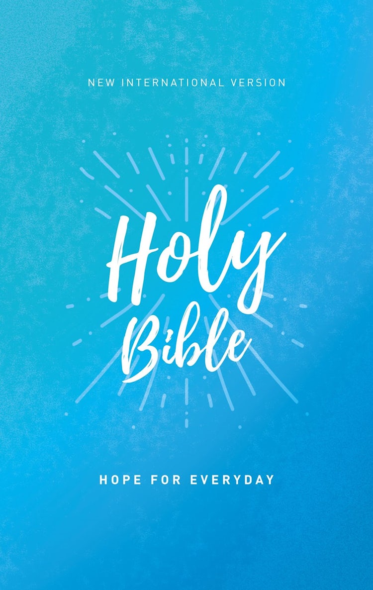 Cover image for NIV Holy Bible [Economy Edition], isbn: 9780310455028