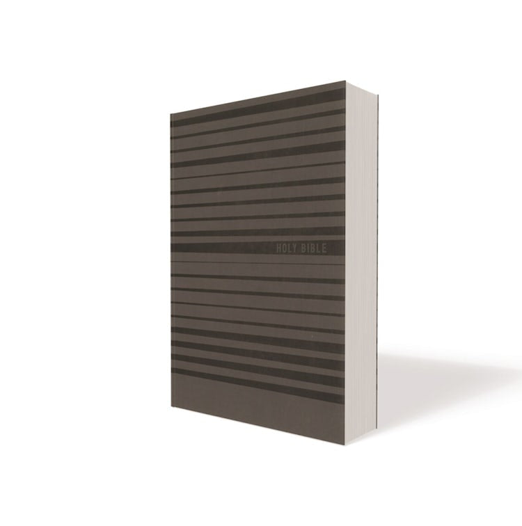 Cover image for NIV Holy Bible For Boys, Soft Touch Edition, Comfort Print [Grey], isbn: 9780310455035