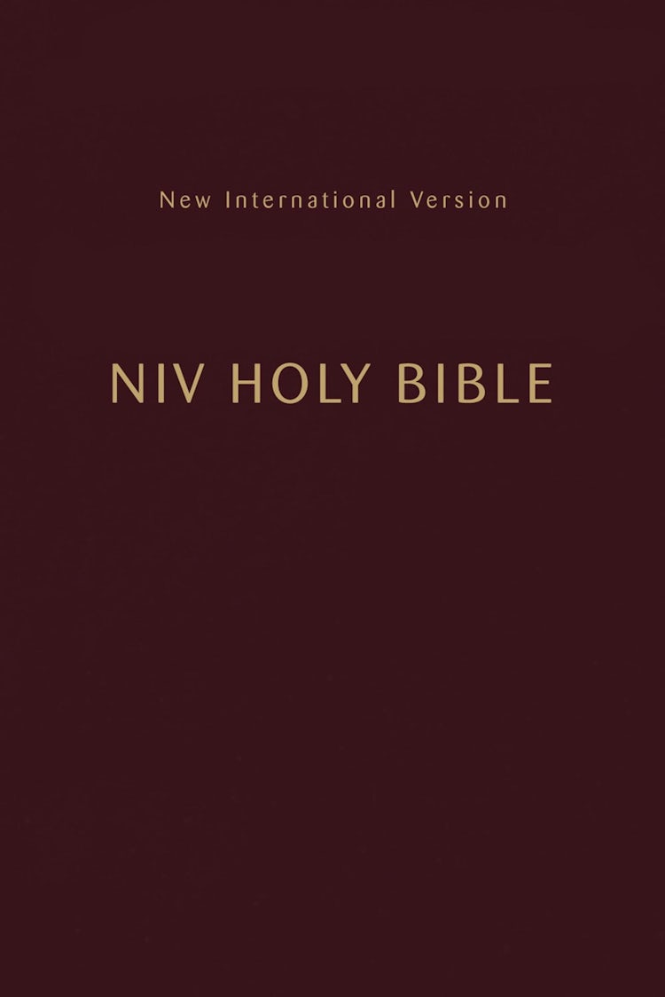 Cover image for NIV Holy Bible Compact [Burgundy], isbn: 9780310461241