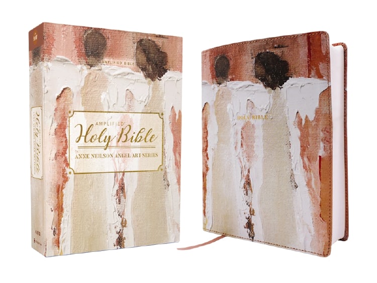 Cover image for Amplified Holy Bible, Anne Neilson Angel Art Series, [Blush], isbn: 9780310461586