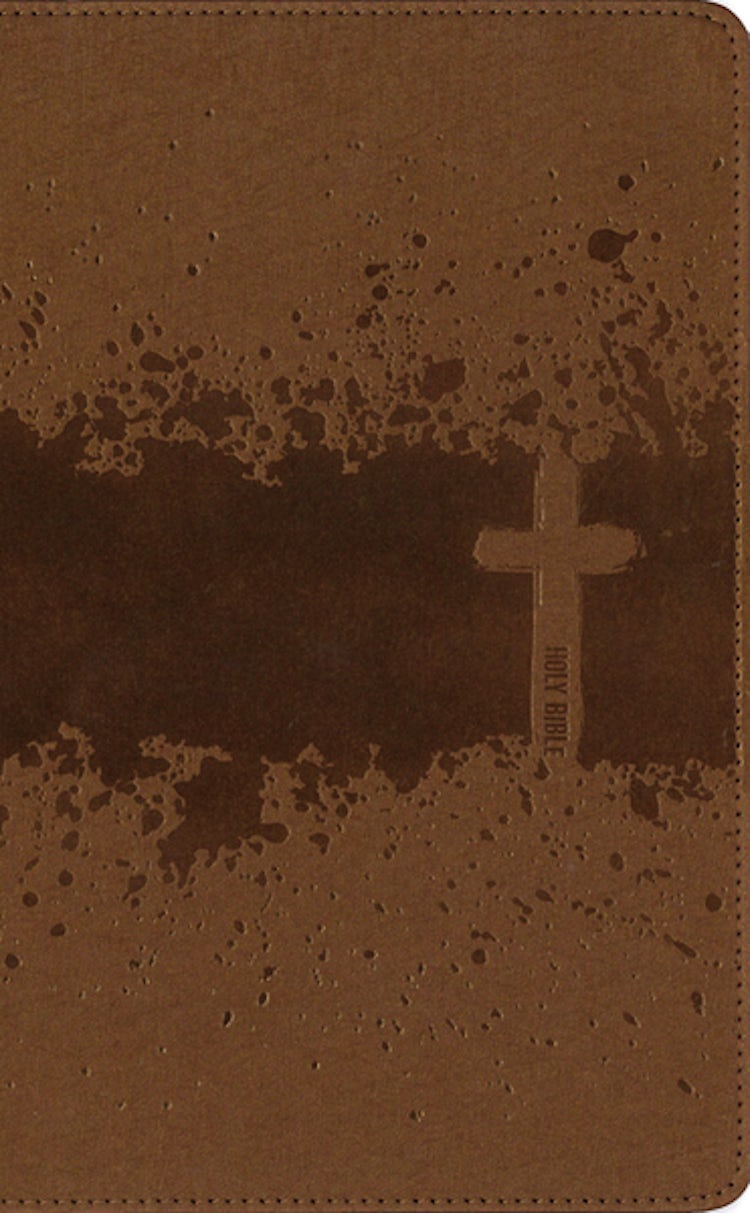 Cover image for NIV, Kids' Visual Study Bible, Leathersoft, Bronze, Full Color Interior, Peel/Stick Bible Tabs: Explore the Story of the Bible - People, Places, and History [Bronze], isbn: 9780310462965