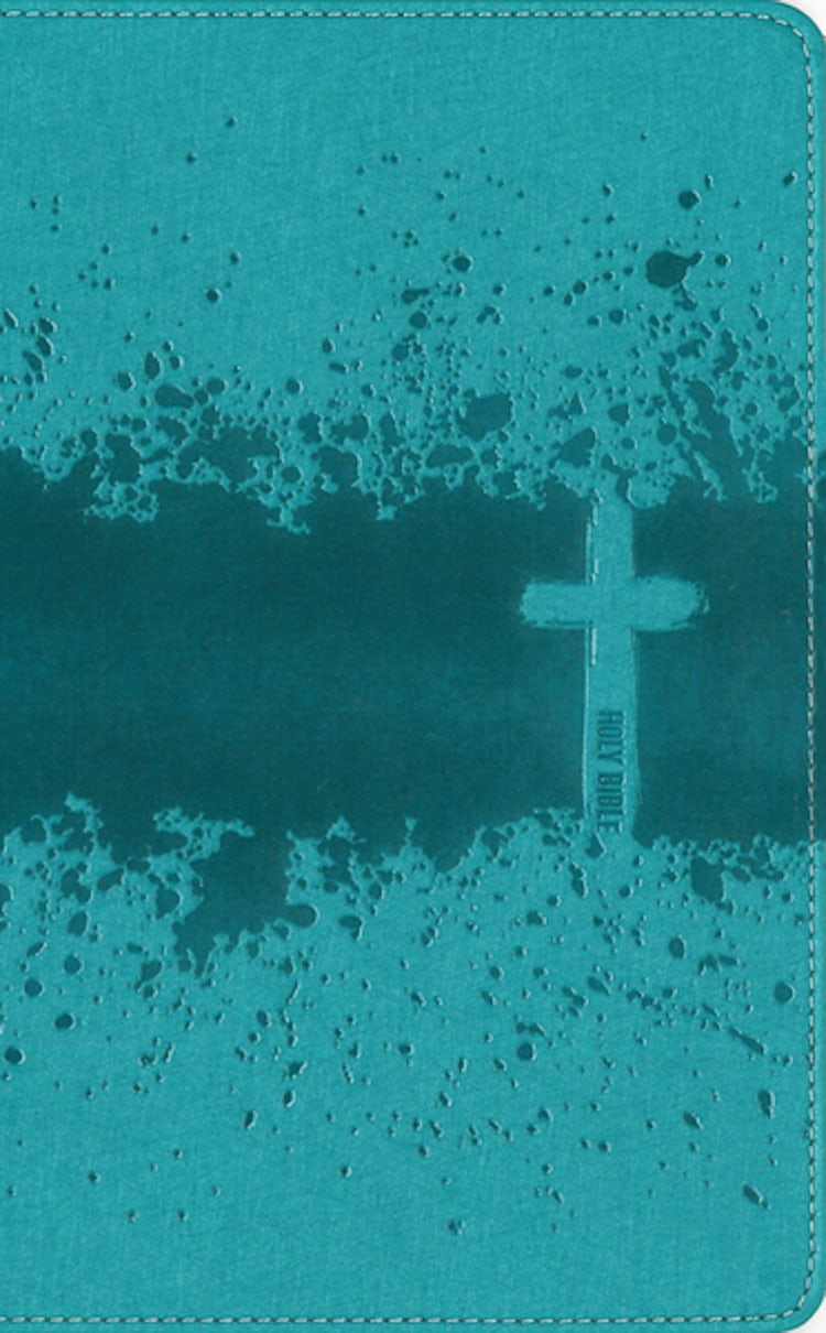 Cover image for NIV, Kids' Visual Study Bible, Leathersoft, Bronze, Full Color Interior, Peel/Stick Bible Tabs: Explore the Story of the Bible - People, Places, and History [Teal], isbn: 9780310462972