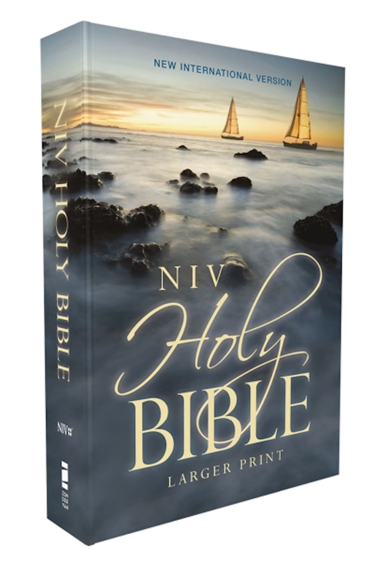 Cover image for NIV, Holy Bible, Larger Print, Economy Edition, Paperback, Comfort Print [Blue], isbn: 9780310463801