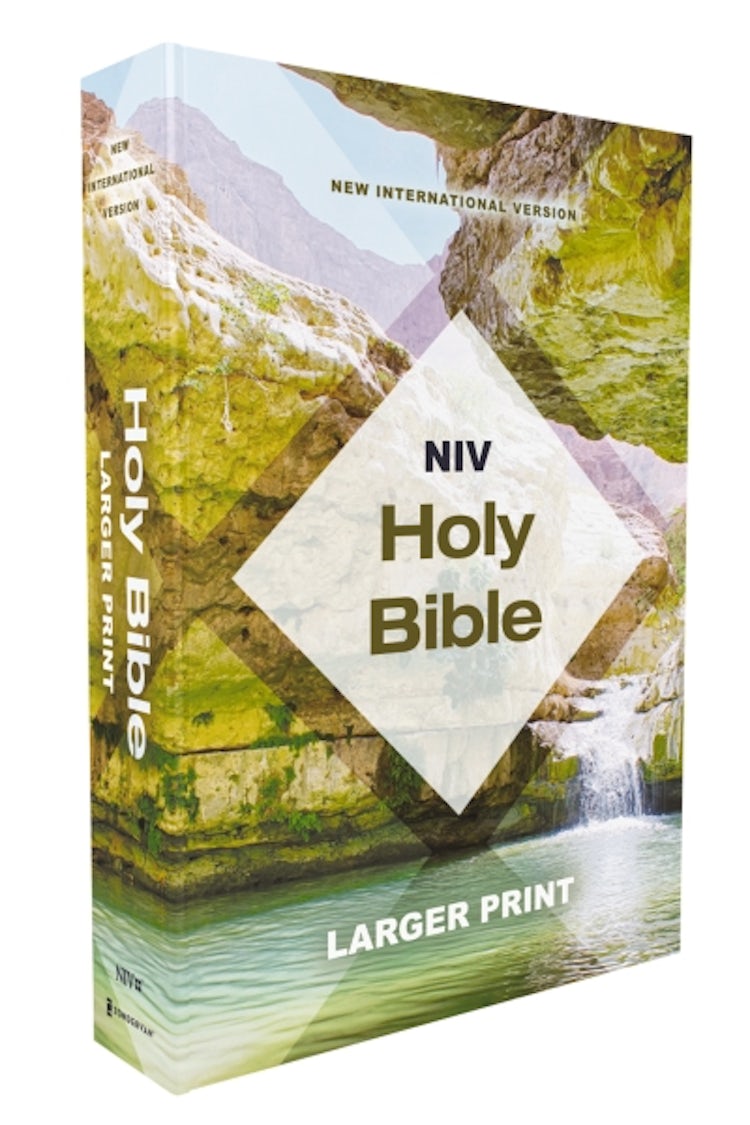 Cover image for NIV, Holy Bible, Larger Print, Economy Edition, Paperback, Teal/Tan, Comfort Print, isbn: 9780310463900