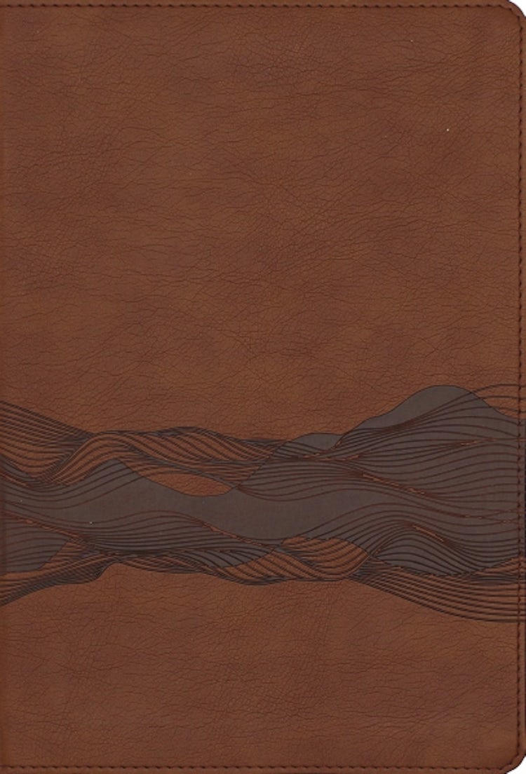 Cover image for NIV, Timeline Bible, Red Letter, Comfort Print: A Chronological Journey through Scripture, isbn: 9780310467502