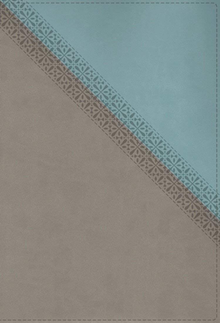 Cover image for NIV Application Bible, Red Letter, Thumb Indexed Comfort Print: Bringing The Ancient Message Of The Bible Into Your World [Teal/Grey], isbn: 9780310467731