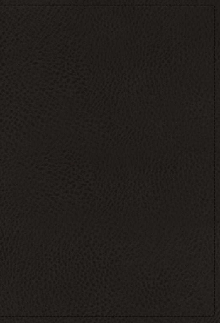 Cover image for NIV Application Bible, Calfskin, Red Letter Comfort Print: Bringing The Ancient Message Of The Bible Into Your World [black], isbn: 9780310467748