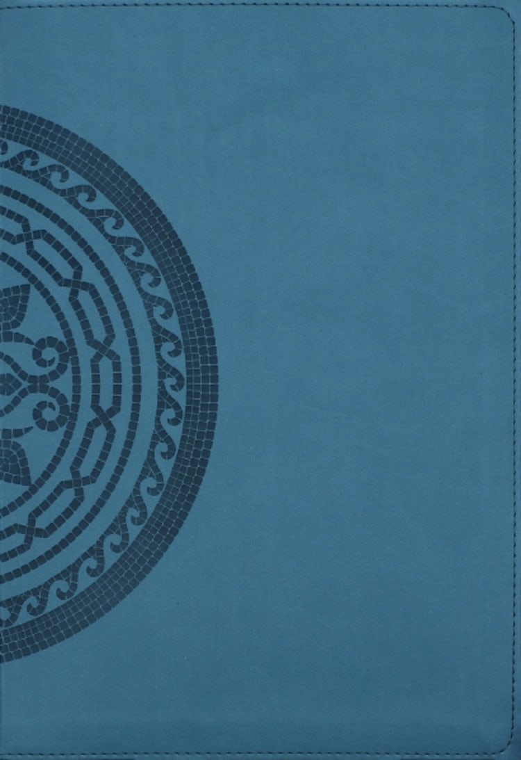 Cover image for NIV Application Bible [Large Print, Red Letter, Comfort Print, Teal], isbn: 9780310467762