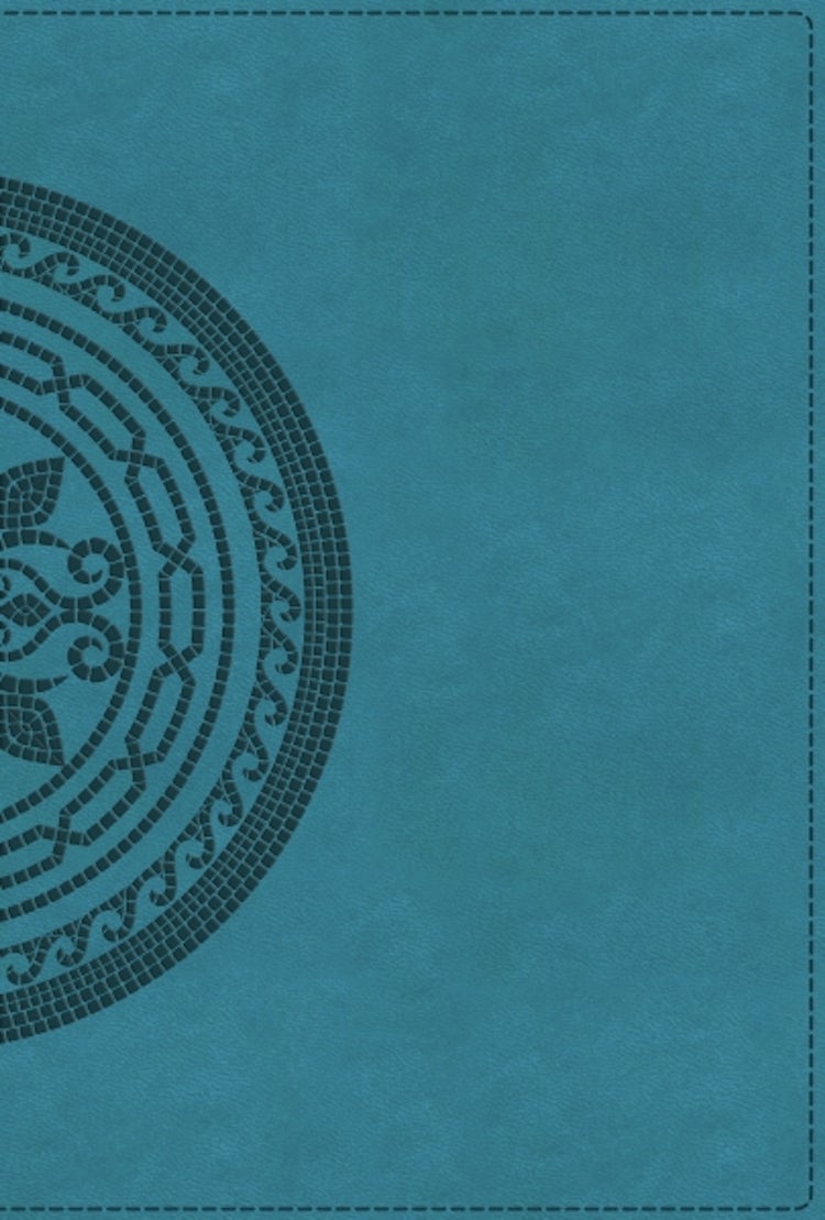 Cover image for NIV Application Bible, Large Print, Red Letter, Thumb Indexed, Comfort Print: Bringing The Ancient Message Of The Bible Into Your World [Teal], isbn: 9780310467779