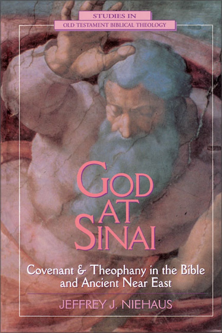 Cover image for God at  Sinai: Covenant and Theophany in the Bible and Ancient Near East, isbn: 9780310494713