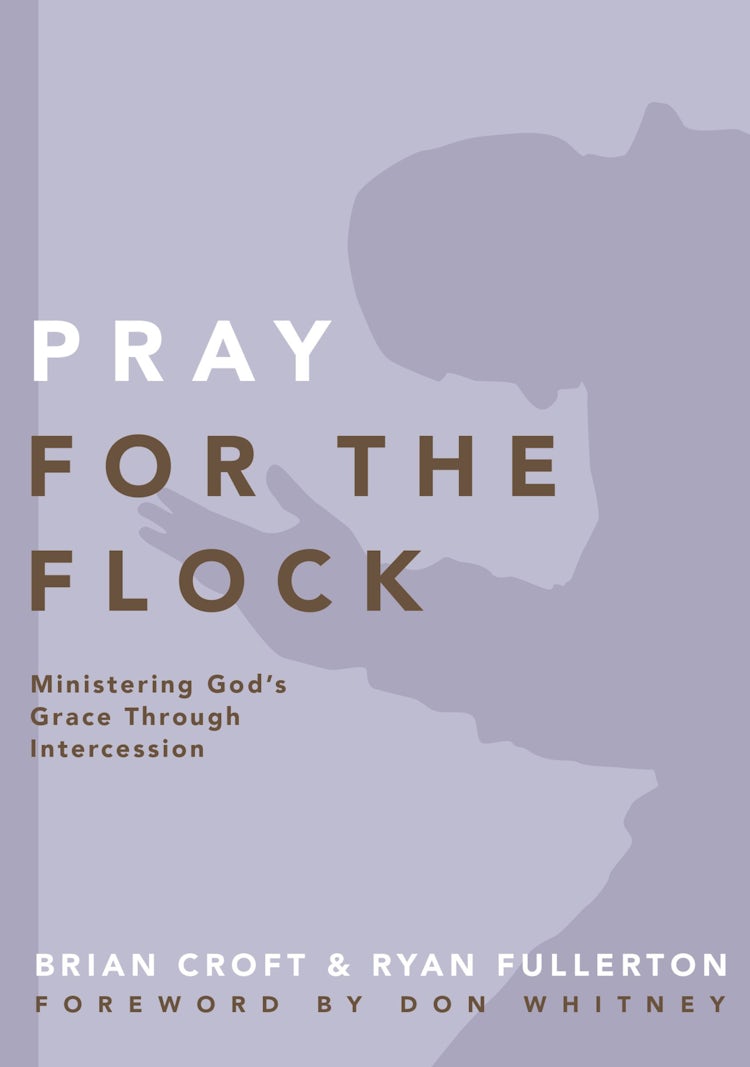 Cover image for Pray for the Flock: Ministering God's Grace Through Intercession, isbn: 9780310519379