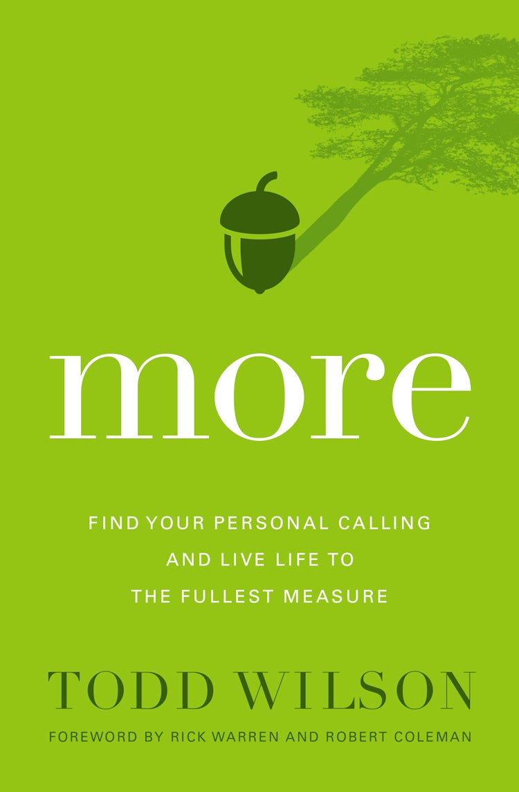 Cover image for More: Find Your Personal Calling and Live Life to the Fullest Measure, isbn: 9780310524250