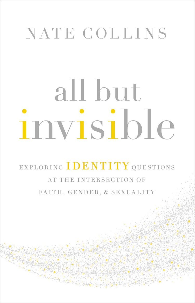 Cover image for All But Invisible: Exploring Identity Questions At The Intersection Of Faith, Gender, And Sexuality, isbn: 9780310526025