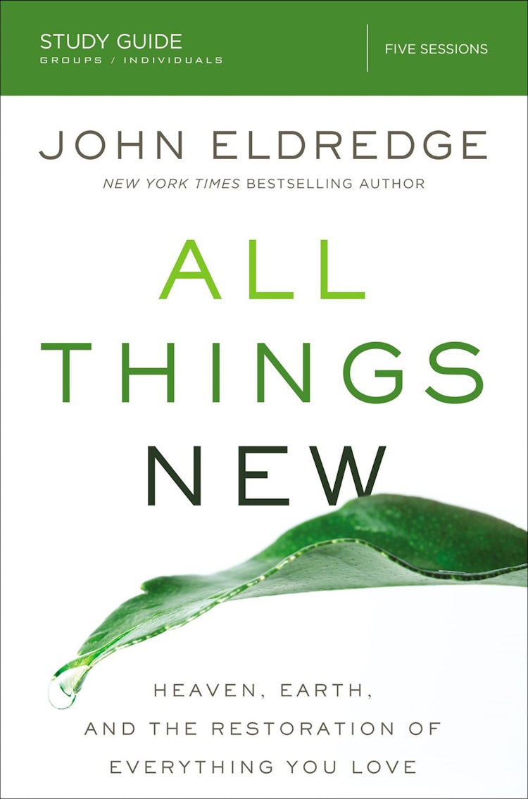 Cover image for All Things New Study Guide: Heaven, Earth, And The Restoration Of Everything You Love, isbn: 9780310682165