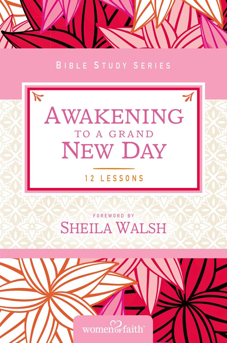 Cover image for Awakening To A Grand New Day, isbn: 9780310684664