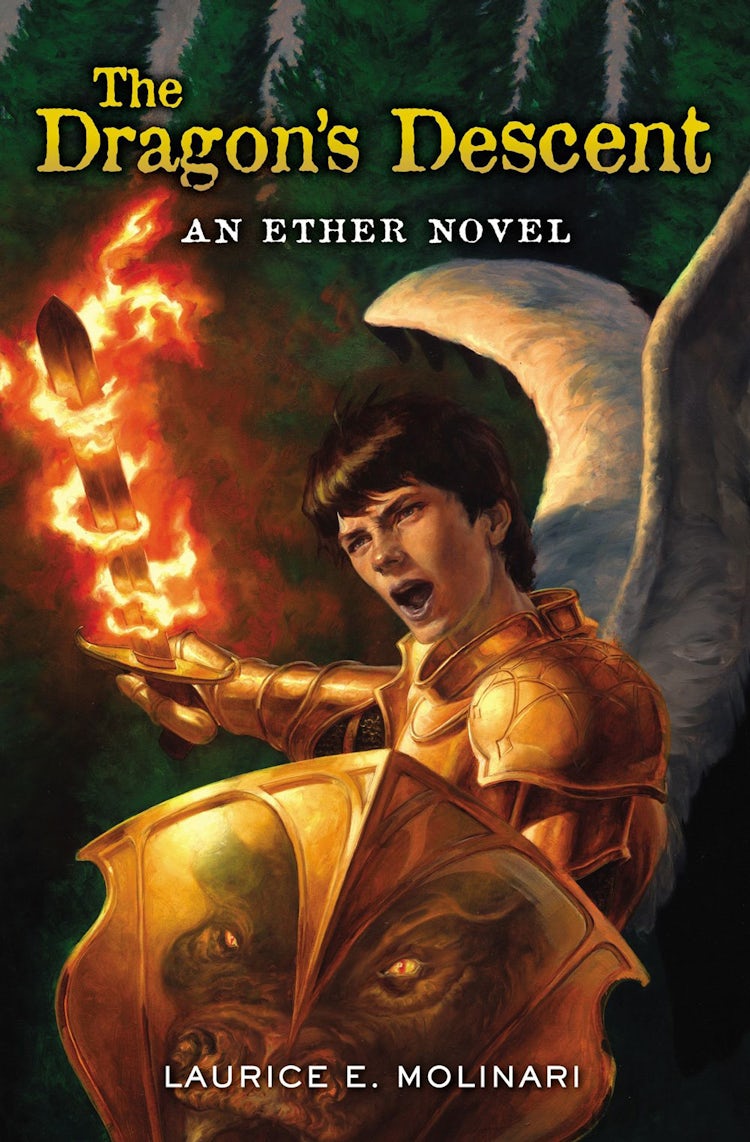 Cover image for The Dragon's Descent, isbn: 9780310735632