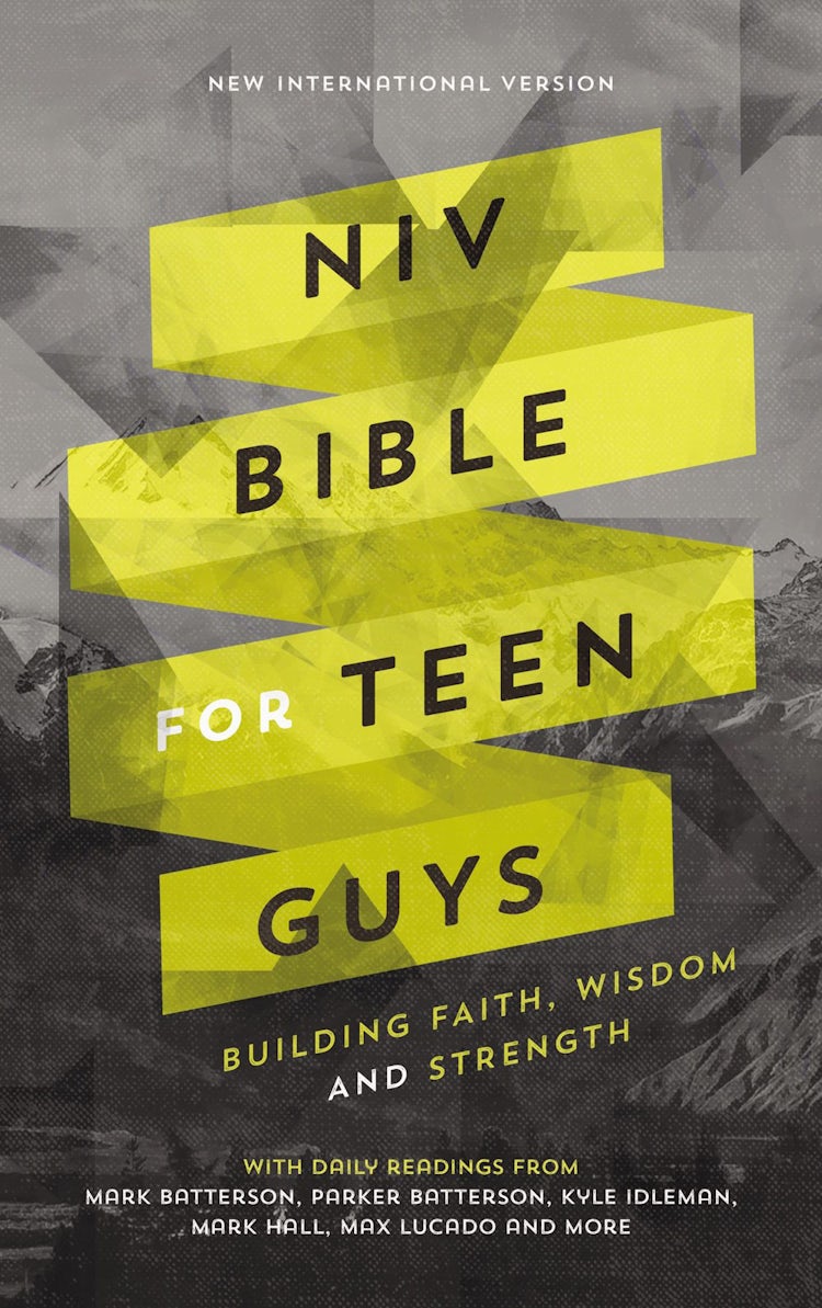Cover image for NIV Bible For Teen Guys: Building Faith, Wisdom And Strength, isbn: 9780310753063