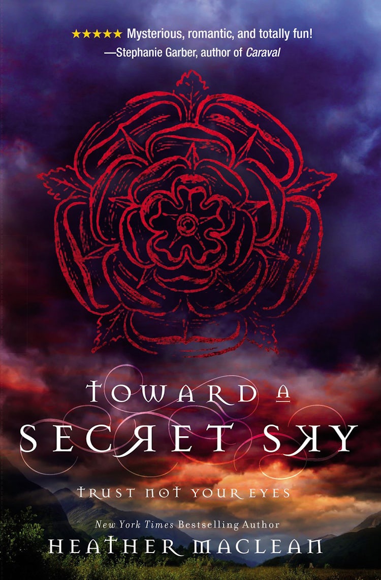 Cover image for Toward A Secret Sky, isbn: 9780310754879